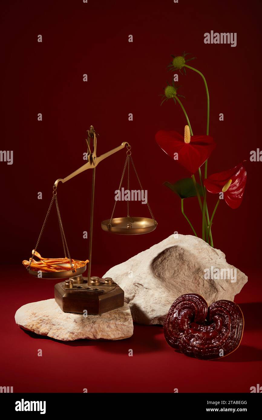 Scena minimalista per la pubblicità di prodotti con un concetto moderno e a base di erbe. Cordyceps su scala, fungo lingzhi, pietre beige e fiori decorati su b rosso Foto Stock