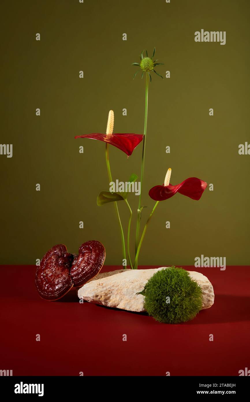 Scena minimale con blocco di pietra decorato con muschio verde, fiori rossi e funghi lingzhi su sfondo verde scuro. Spazio vuoto sulla pietra per posizionato Foto Stock