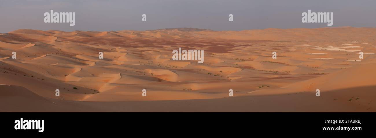 Ampio panorama di dune di sabbia dai colori diversi, da Rub al Khali, Emirati Arabi Uniti Foto Stock