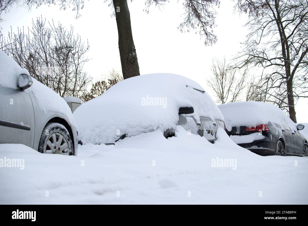 Scena invernale in cui diverse auto pesantemente occultate sotto uno spesso strato di neve, alcune auto sono quasi interamente sepolte dalla neve Foto Stock