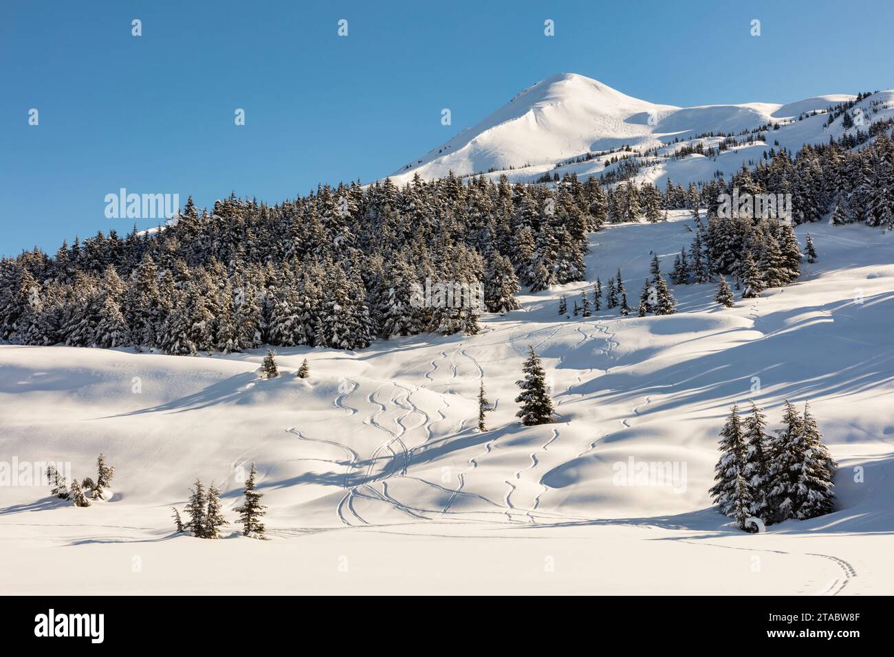 Vista sulle montagne in inverno, Alaska Foto Stock