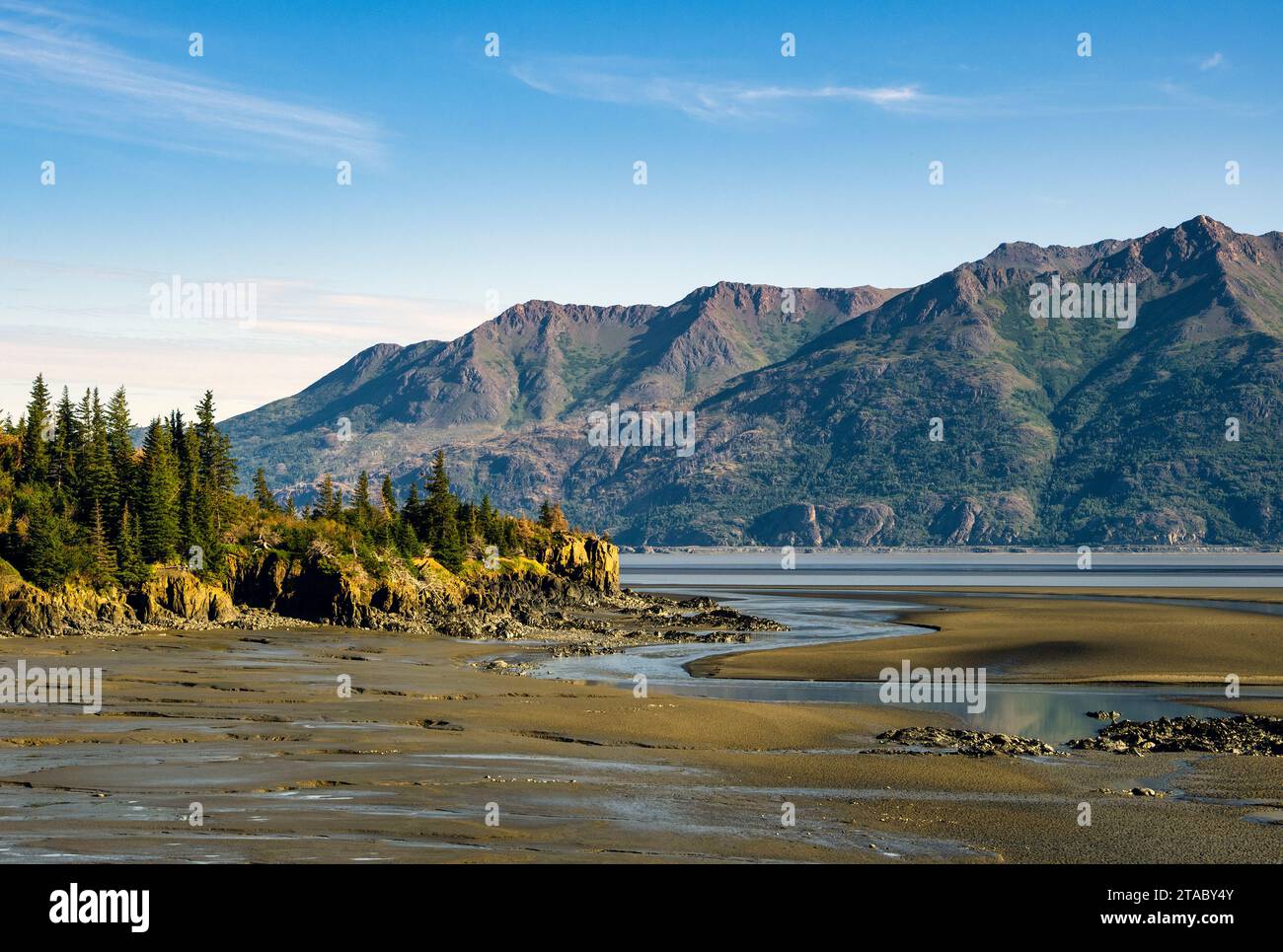 Vista delle distese di fango, Turnagain Arm, Alaska Foto Stock