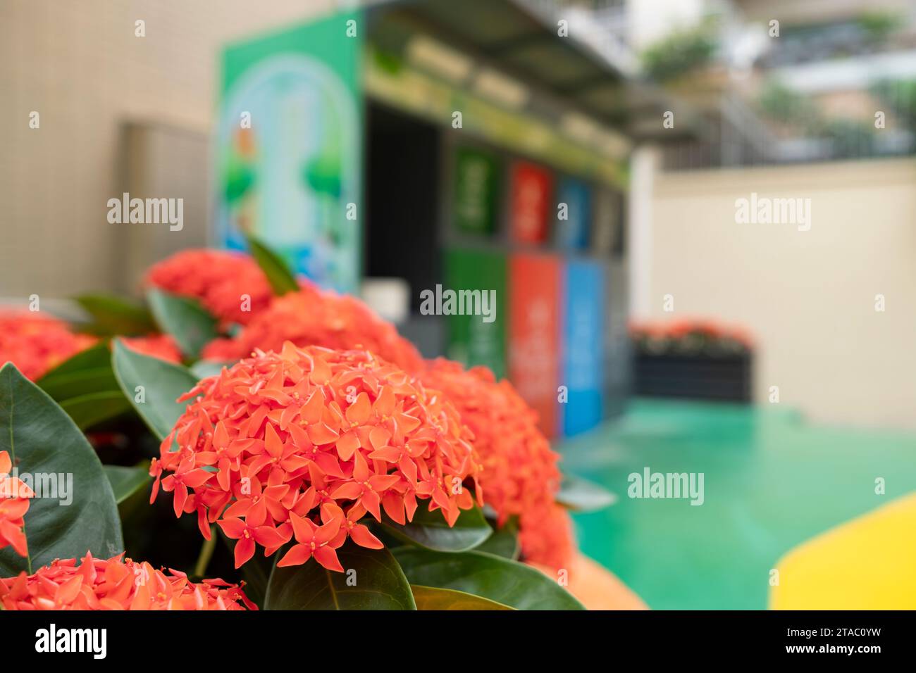 giardino con fiori e bidoni per la raccolta rifiuti di diversi colori Foto Stock