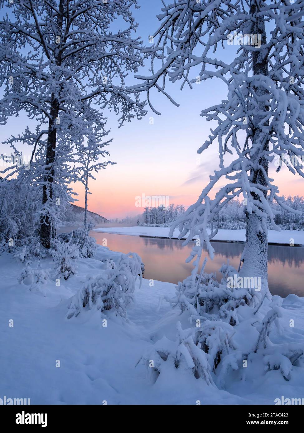 Alba invernale a Eagle River Valley, Alaska Foto Stock