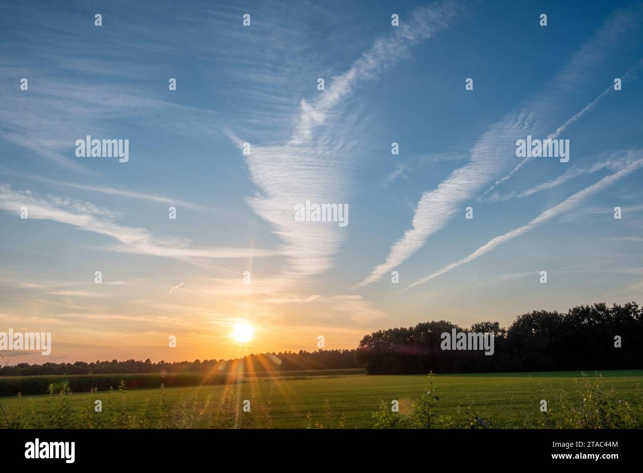 L'immagine cattura un maestoso tramonto su un campo verdeggiante, dove il sole bacia l'orizzonte, inviando raggi di luce attraverso il cielo. Le spettacolari nuvole sono incise nella distesa blu, formando motivi che sembrano condurre l'occhio verso la radiosa sfera. Il campo in primo piano, immerso nella luce morente del sole, aggiunge profondità e contrasto alla scena, invitando gli osservatori a crogiolarsi nel gran finale della giornata. Sunset Symphony: La danza della luce e delle nuvole. Foto di alta qualità Foto Stock