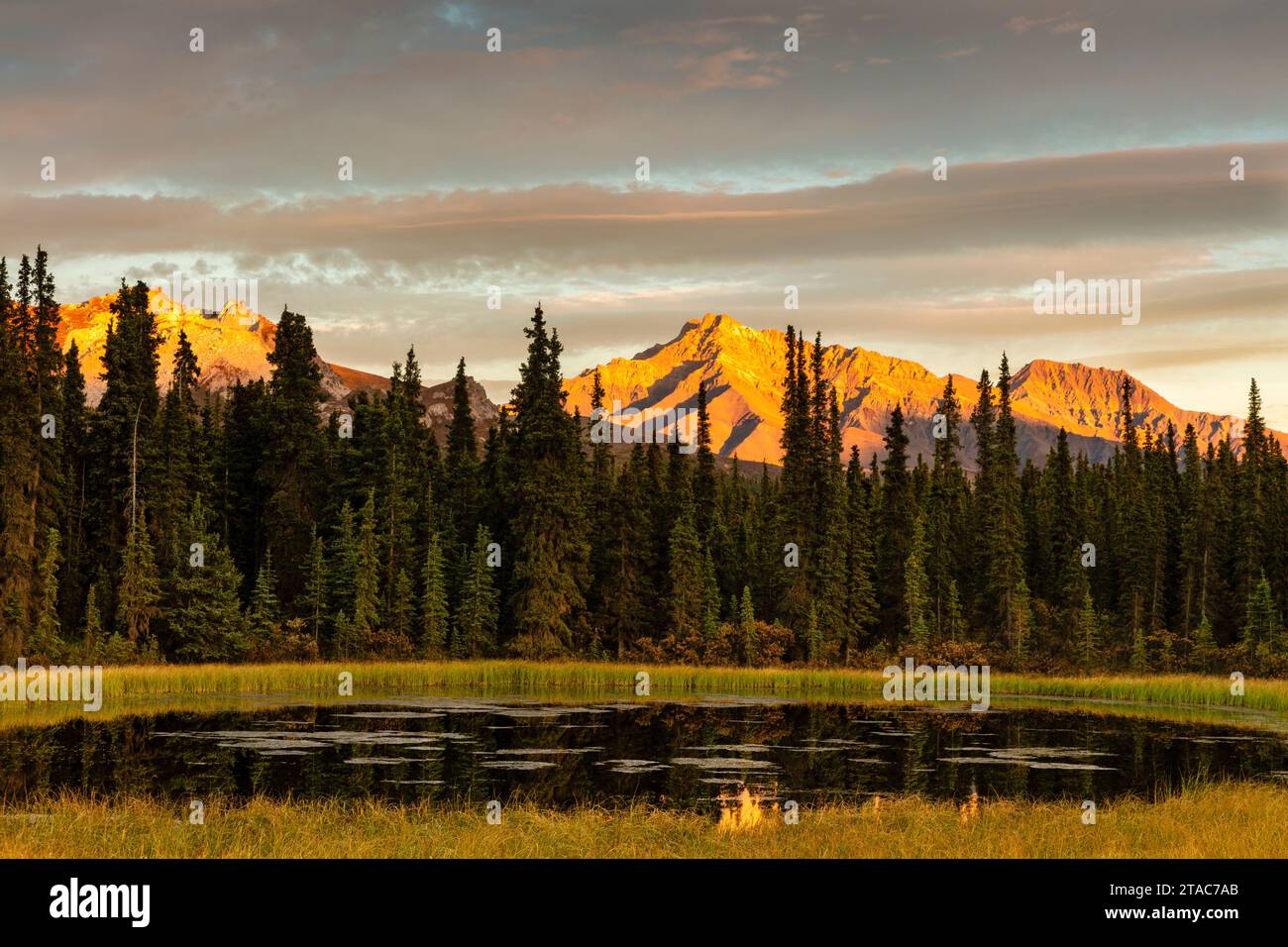 Montagne del Parco Nazionale di Denali, Alaska Foto Stock