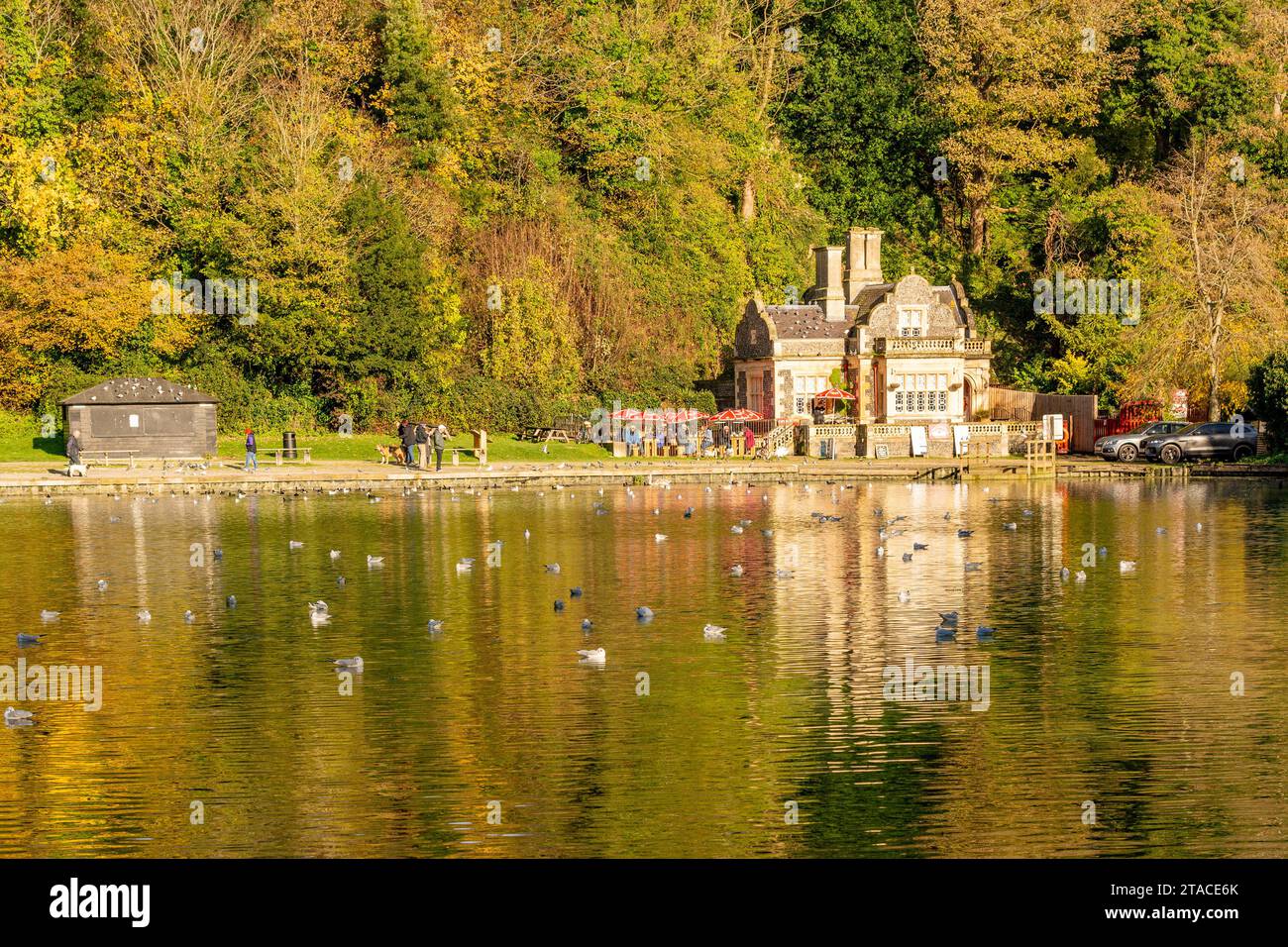 Lago Swanbourne con Swanbourne Lodge Tearoom - Arundel, West Sussex, Regno Unito. Foto Stock