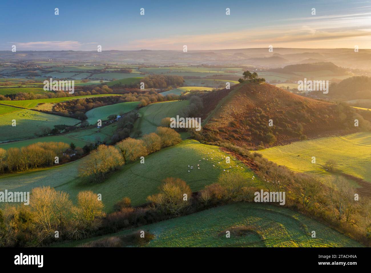 Vista aerea di Colmer's Hill all'alba in una soleggiata mattinata d'inverno, Symondsbury, Dorset, Inghilterra. Inverno (gennaio) 2022. Foto Stock