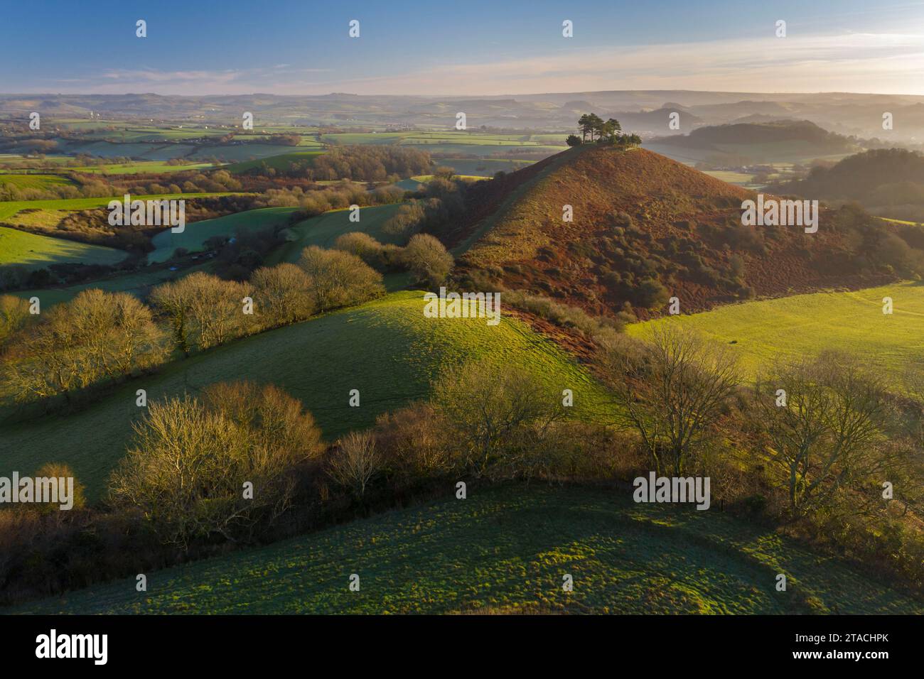Vista aerea di Colmer's Hill all'alba in una soleggiata mattinata d'inverno, Symondsbury, Dorset, Inghilterra. Inverno (gennaio) 2022. Foto Stock
