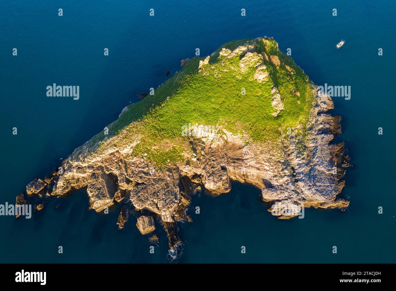 Vista aerea dell'isola di Thatcher Rock al largo della costa di Torquay, Devon, Inghilterra. Inverno (febbraio) 2022. Foto Stock