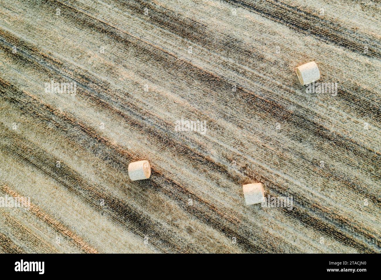 Vista aerea delle balle di paglia rotonde in un campo raccolto, South Tawton, Devon, Inghilterra. Estate (agosto) 2022. Foto Stock