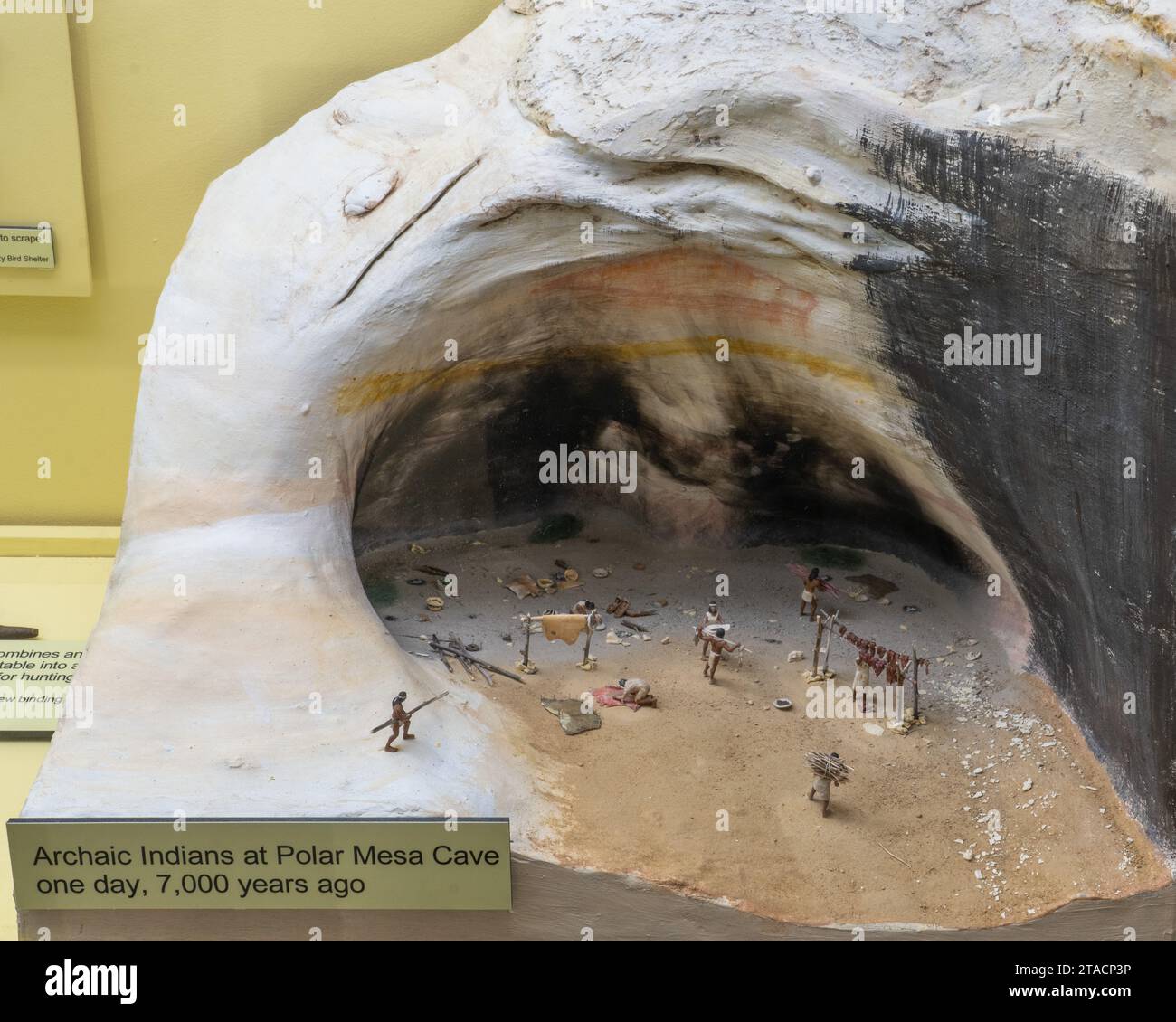 Diorama di una caverna arcaica nel USU Eastern Prehistoric Museum di Price, Utah. Foto Stock