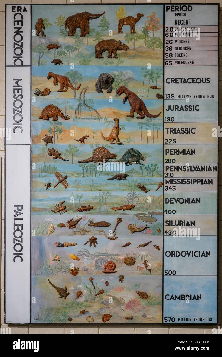 Un grafico che mostra la linea temporale geologica ed evolutiva della vita sulla terra, nel Prehistoric Museum di Price, Utah. Foto Stock