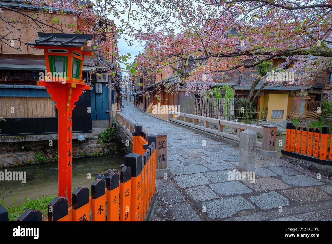 Kyoto, Giappone - 6 aprile 2023: Il ponte Tatsumi bashi è il luogo simbolo del distretto di Gion. E' un piccolo ponte che attraversa il torrente Shirakawa che scorre Foto Stock