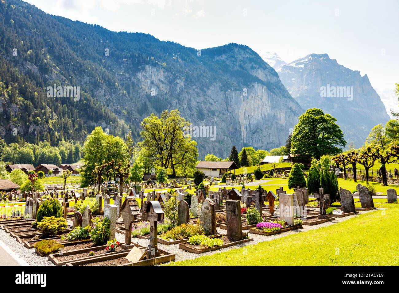 Cimitero di Lauterbrunnen con vista sulle Alpi svizzere, Lauterbrunnen, Svizzera Foto Stock