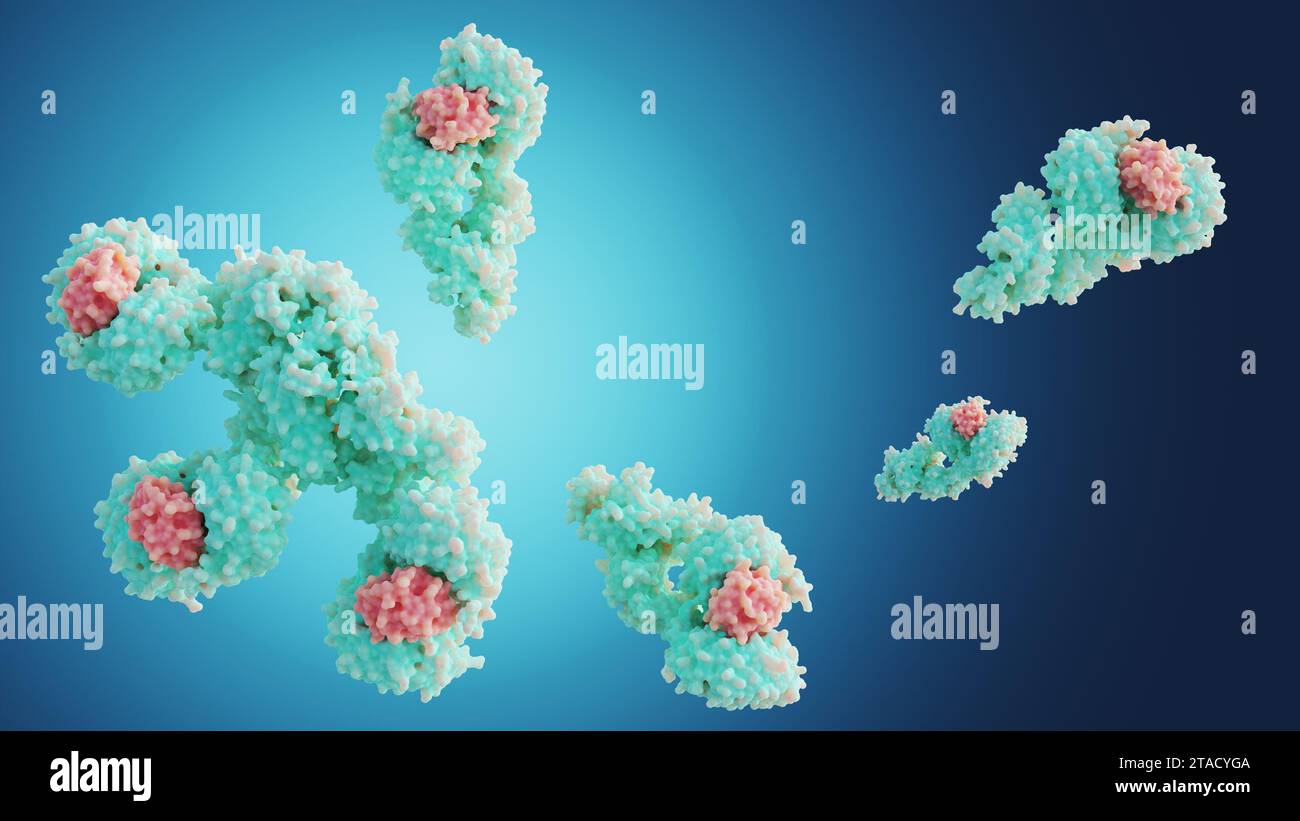 Il rendering 3D della formazione di molecole apoptosomiche umane contiene sette molecole Apaf-1 disposte simmetricamente in una struttura a forma di ruota per formare una centrale Foto Stock