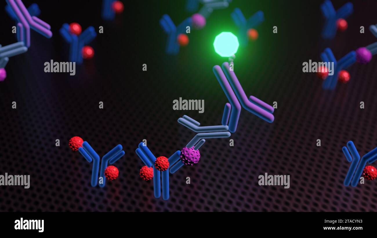 Un rendering 3D illustra una tecnica ELISA a sandwich, in cui si ottiene il rilevamento dell'antigene tra due strati di anticorpi: Un anticorpo di cattura e un Foto Stock
