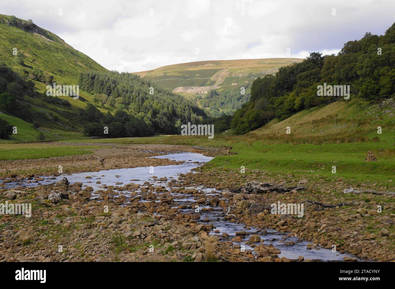 Il fiume Swale nell'Upper Swaledale, Yorkshire Dales, North Yorkshire, Inghilterra, Regno Unito Foto Stock