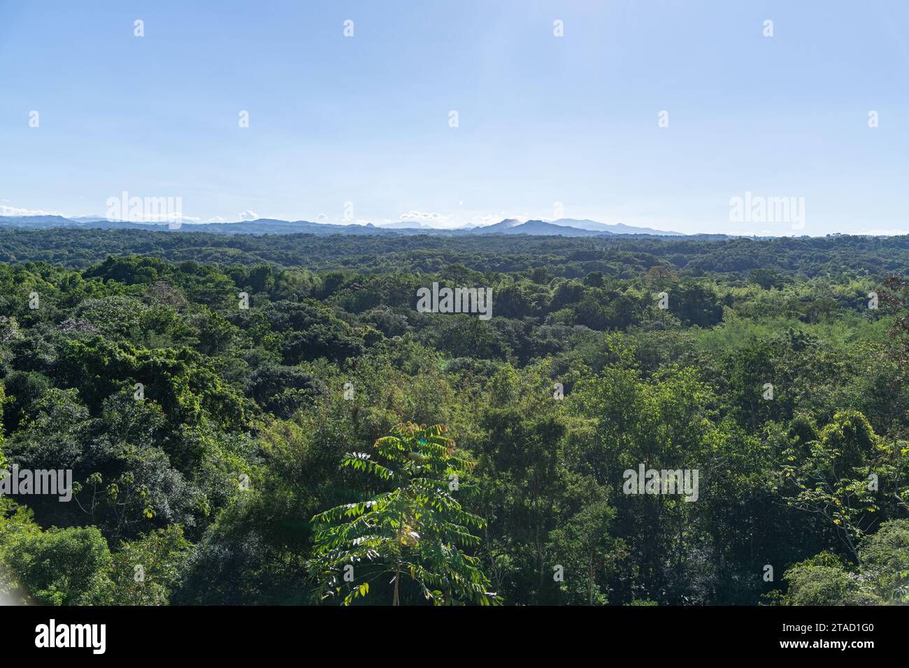 Vista sulle foreste della campagna colombiana, sulle giungle e sulle montagne Foto Stock