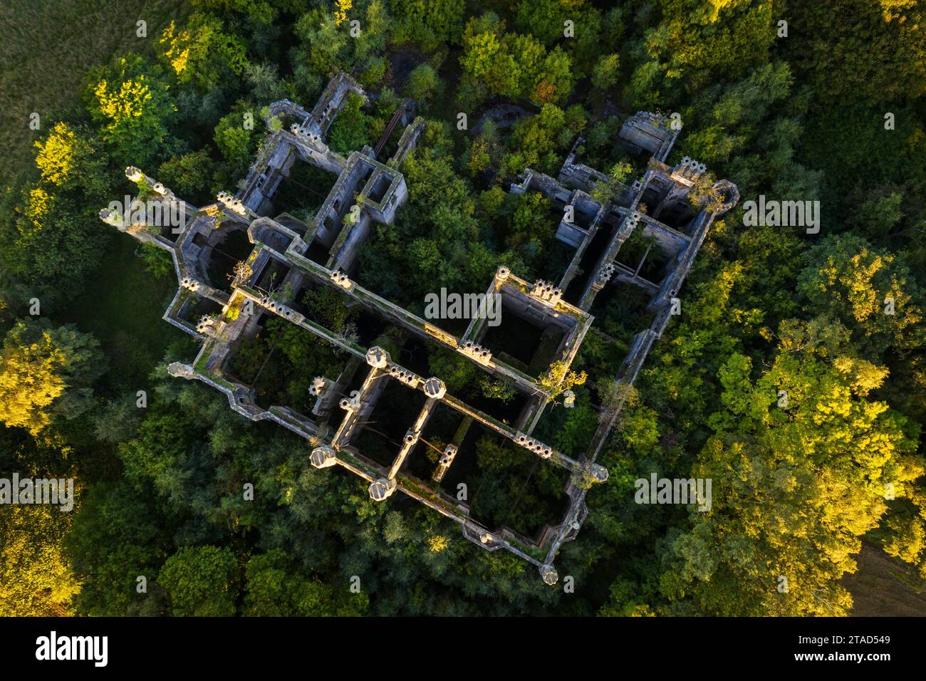 Vista aerea che mostra le rovine di Dunmore House mentre lentamente viene bonificata dalla natura, Airth, Stirlingshire, Scozia. Autunno (settembre) 2022. Foto Stock