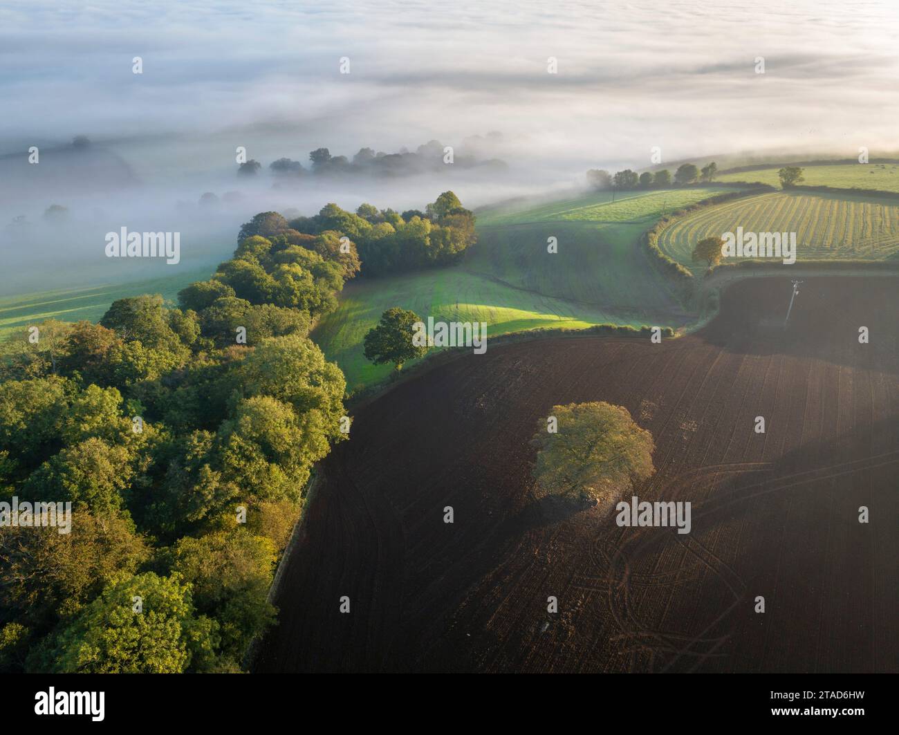 Rolling Dartmoor Countryside in Morning Mist, South Tawton, Devon, Inghilterra. Autunno (ottobre) 2023. Foto Stock