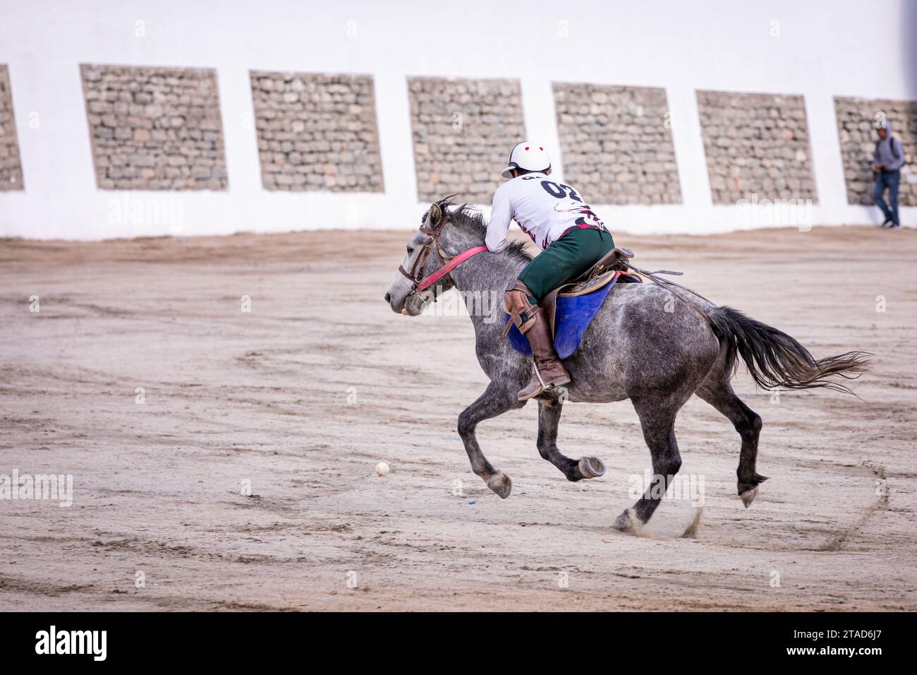 Una partita di polo in Leh, Ladakh, India Foto Stock