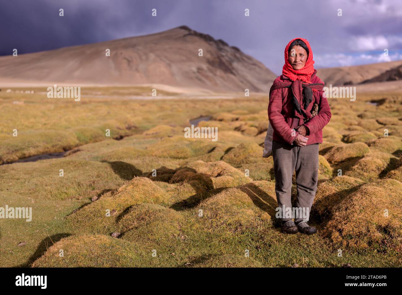 Ritratto di una donna nomade Changpa, Ladakh, India Foto Stock