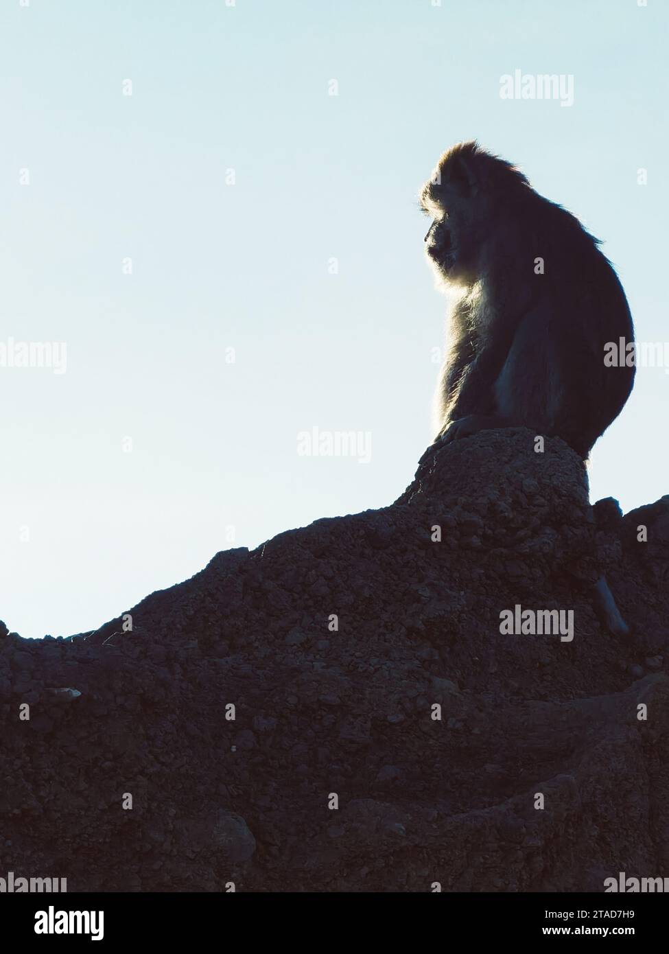 Indonesia - Lombok e Bali Foto Stock