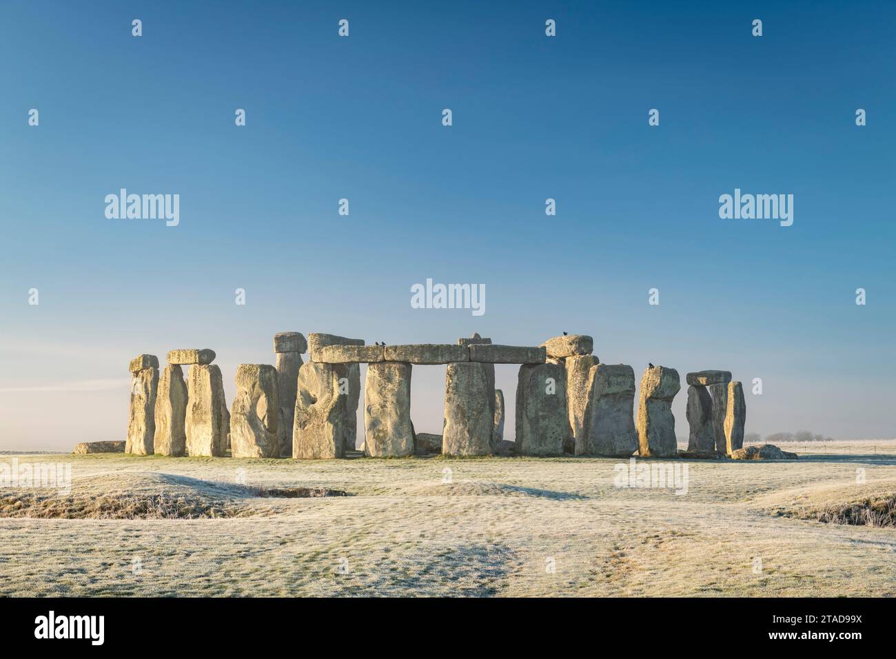 Stonehenge all'alba in una fredda e gelida mattinata invernale, Wiltshire, Inghilterra. Inverno (gennaio) 2022. Foto Stock