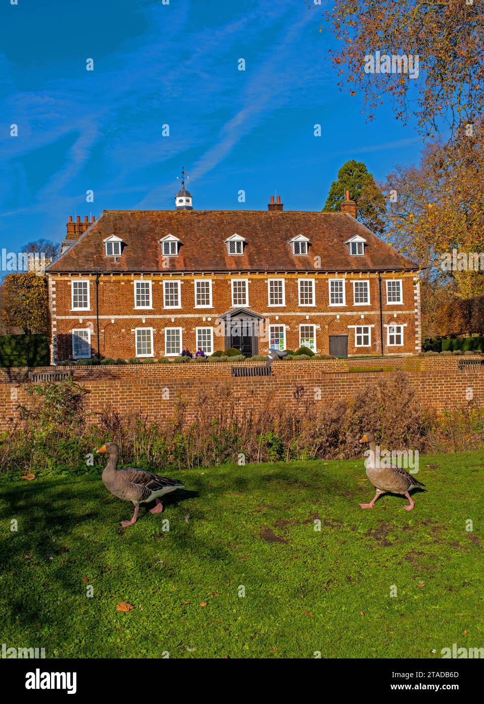 Hall Place in autunno, Bexley, Kent, Inghilterra Foto Stock Hall Place in autunno, Bexley, Kent, Inghilterra Foto Stock