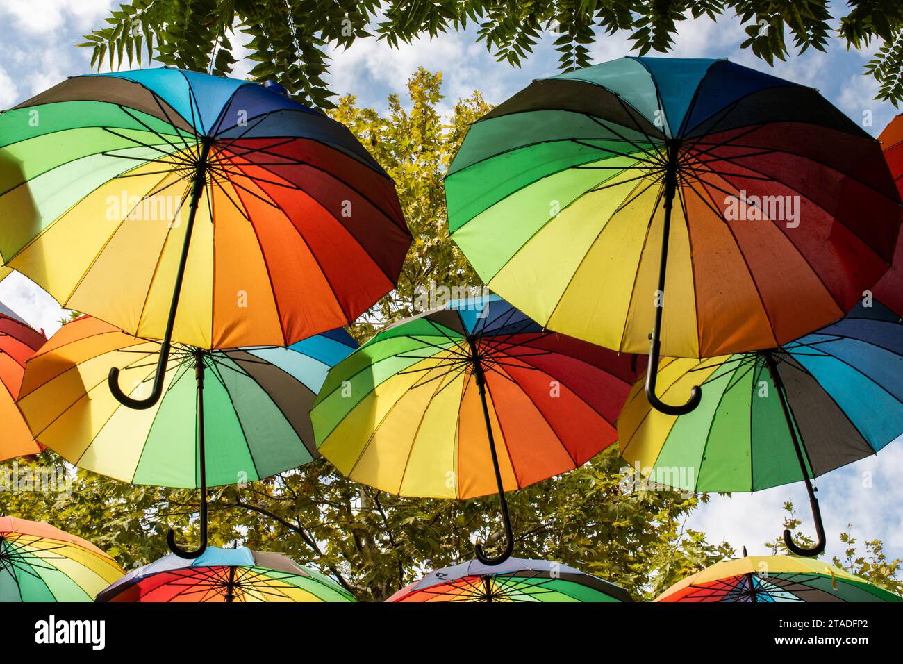 File ombrelloni galleggianti sopra la strada che protegge dalla luce solare Foto Stock