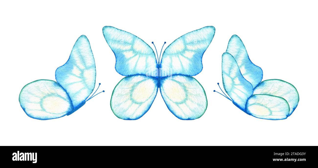 Set di farfalle ad acquerello blu trasparente. Clipart disegnato a mano per la progettazione. Foto Stock