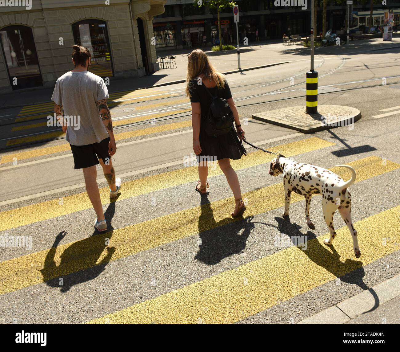 Zurigo, Svizzera - 3 giugno 2017: Persone con cane in attraversamento zebra a Zurigo. Vita quotidiana a Zurigo. Foto Stock