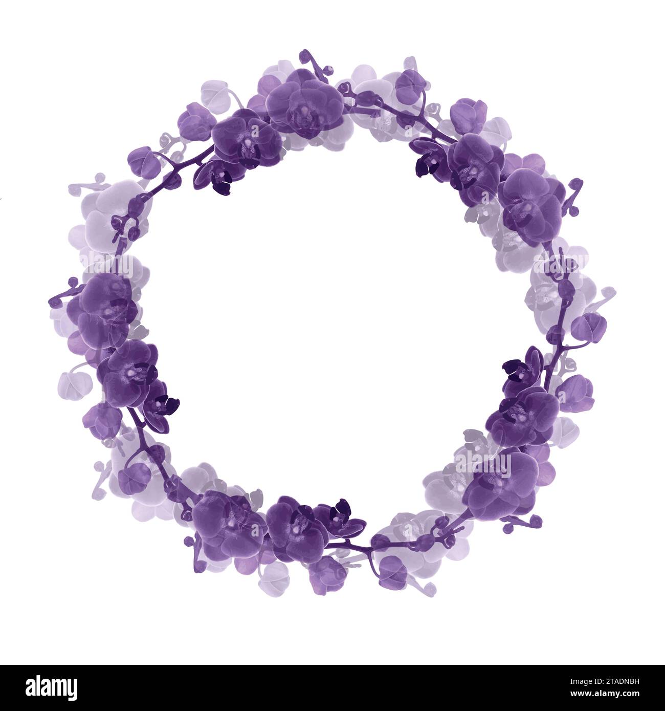 Corona di fiori di orchidea con gemme e fiori illustrazione vettoriale isolata su bianco, per un design tropicale, invito romantico a nozze, backgrou Illustrazione Vettoriale