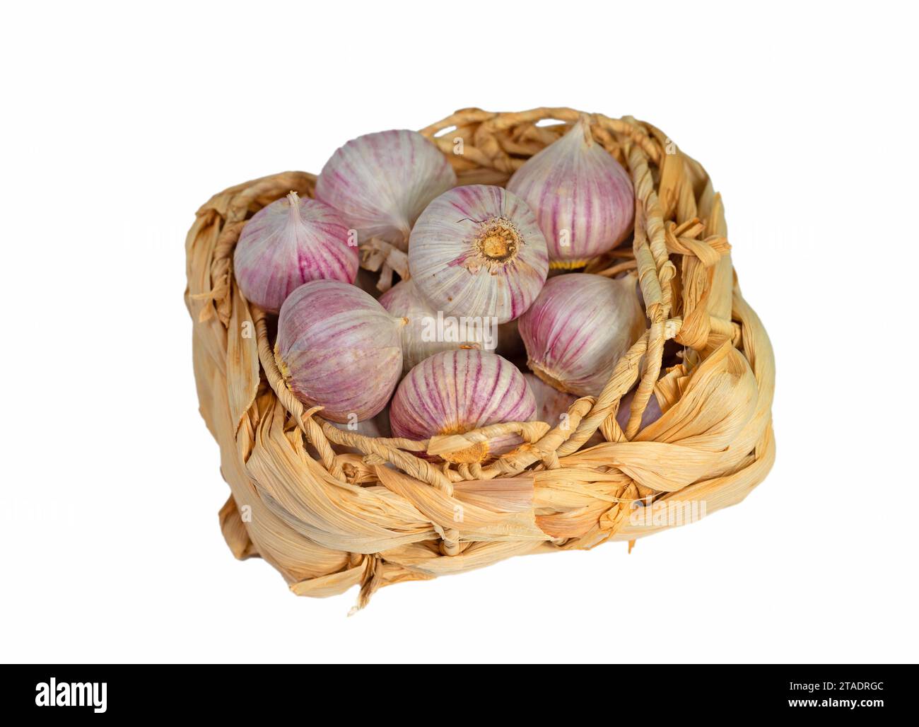 Aglio solo su sfondo bianco Foto Stock