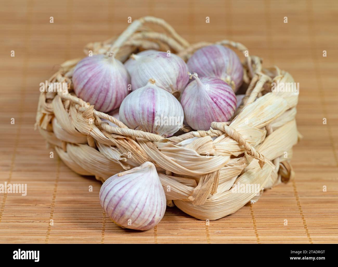 Solo aglio in un primo piano Foto Stock