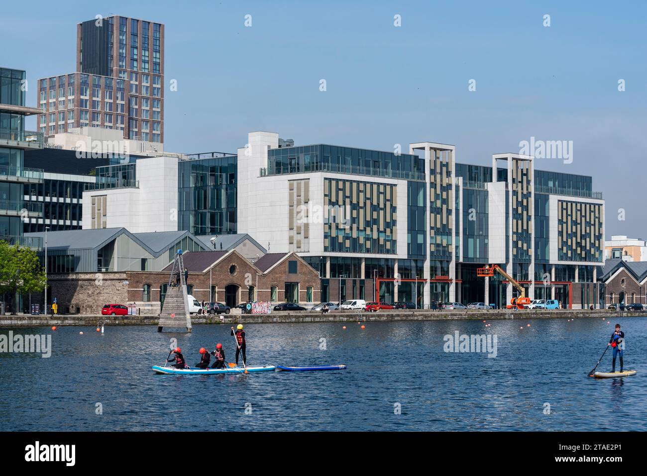 Repubblica d'Irlanda, Contea di Dublino, Dublino, quartiere dei moli, pagaia sul Canal grande Foto Stock