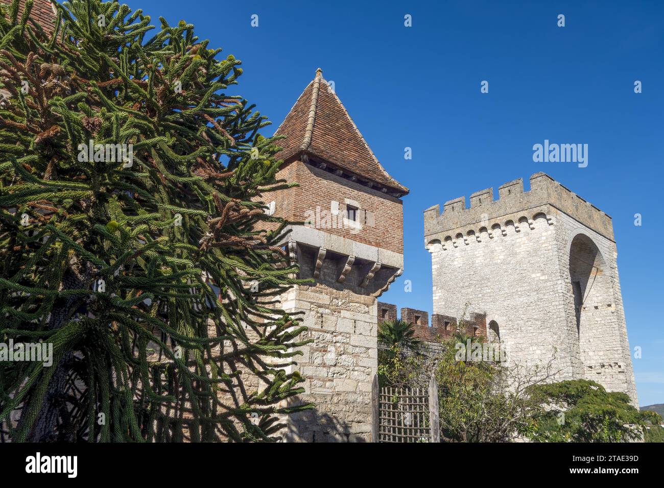 Francia, Lot, Cahors, la Barbacane, il guardiano del XVI secolo e la torre Saint-Jean del XIV secolo con un Araucaria in primo piano Foto Stock