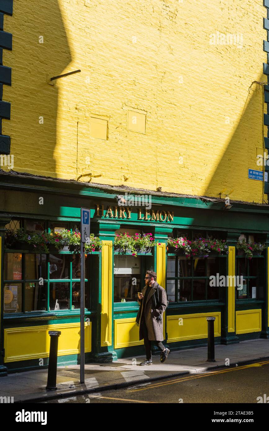 Repubblica d'Irlanda, Contea di Dublino, Dublino, The Hairy Lemon Pub, location del film The Commitments in Stephen Street Lower Foto Stock