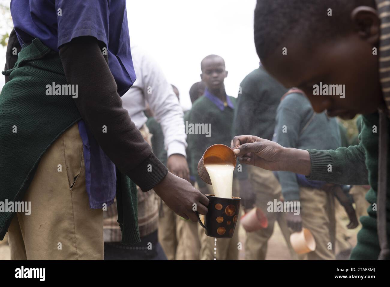 Tanzania, regione di Arusha, IrmisigyoTanzania, regione di Arusha, Irmisigyodistribuzione di cibo agli scolari la ONG Kopelion finanzia un pasto di mezzogiorno per i bambini a scuola, quando la comunità accetta di vivere con un leone sul suo territorio uno dei modi per incoraggiare la convivenza (oltre a misure protettive) Foto Stock