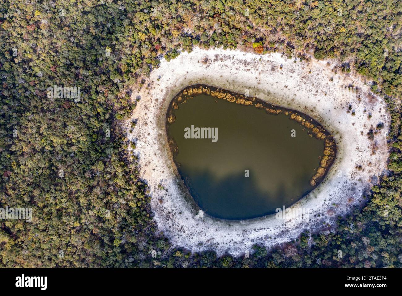 Tanzania, Ruvuma, Mwili, piccolo lago dove vivono molti ippopotami (vista aerea) Foto Stock