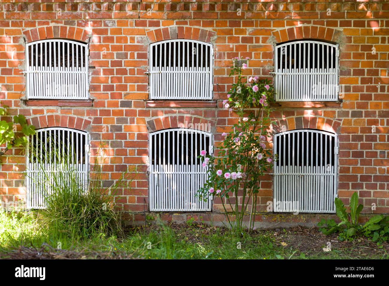 Francia, Indre et Loire, Valle della Loira dichiarata Patrimonio dell'Umanità dall'UNESCO, Chédigny, l'unico villaggio in Francia classificato come Giardino notevole, hutches di coniglio Foto Stock