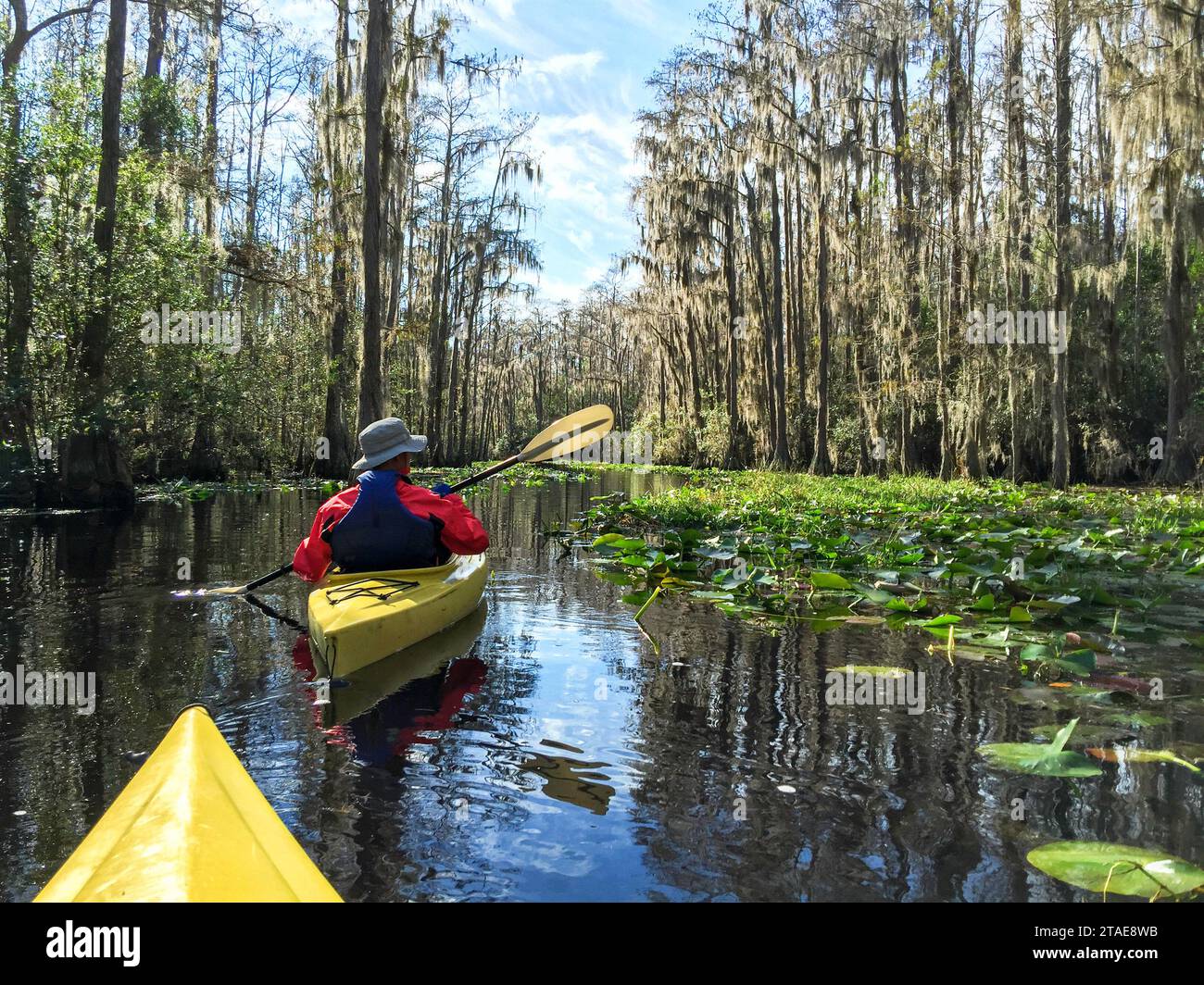 Per gli anziani attivi, kayak nella palude di Okefenokee, l'habitat più grande delle paludi di blackwater del Nord America e sede di una fauna selvatica diversificata, tra cui molti alligatori. Foto Stock