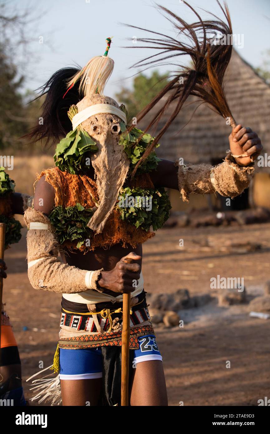 Senegal, Senegal orientale, zona di Kédougou, dipartimento di Dar Salam, villaggio di Ethiolo, ballerina tradizionale Bassari con maschera di elefante Foto Stock