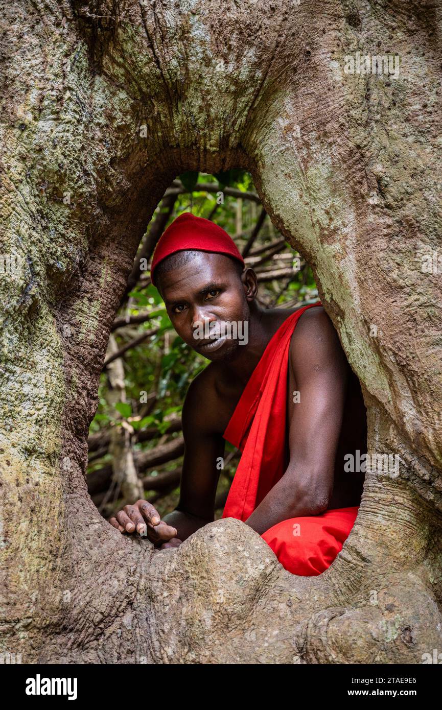 Senegal, Casamance, Boucotte, museo di Diola, guida con abiti tradizionali all'interno delle radici di un albero di kapok Foto Stock