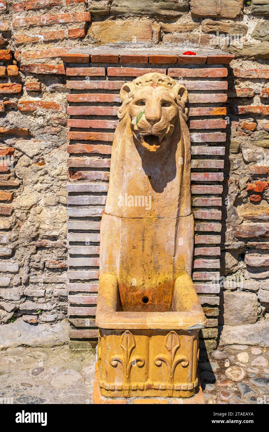 Albania, Elbasan, fontana di leoni all'ingresso della cittadella medievale Foto Stock