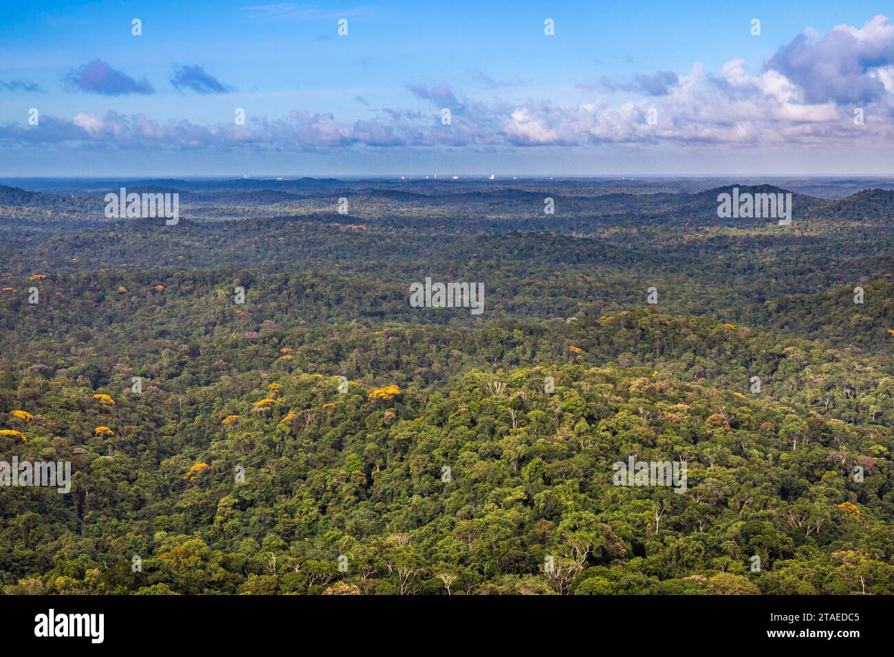 Francia, Guiana, Kourou, Centro spaziale Guiana, vista aerea delle strutture di lancio (piattaforme di lancio) per i lanciatori Vega, Soyuz e Ariane, dalla foresta pluviale amazzonica (vista aerea) Foto Stock