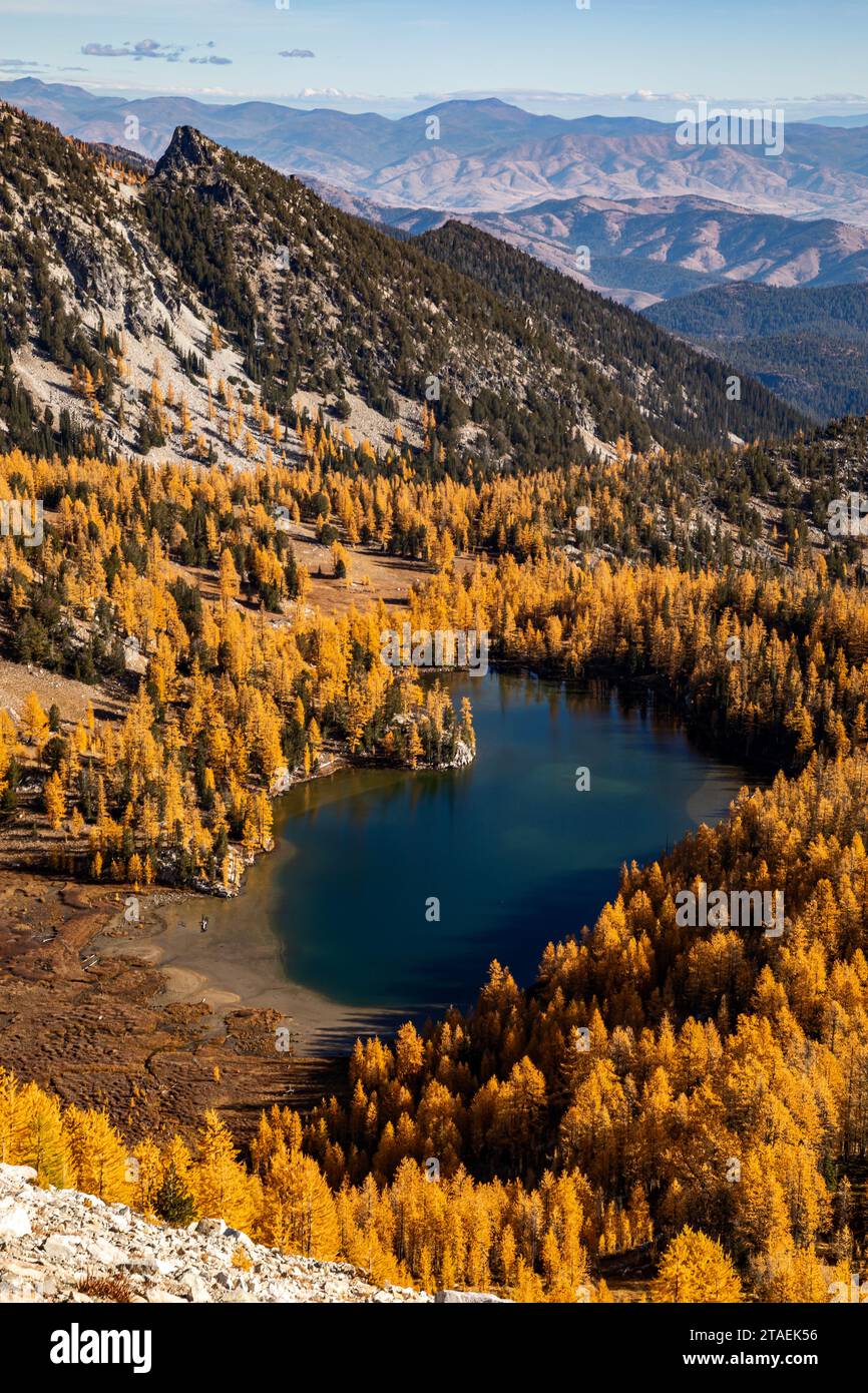 WA23834-00...WASHINGTON - Lago Cooney circondato da larici nel colore autunnale; Okanogan National Forest. Foto Stock