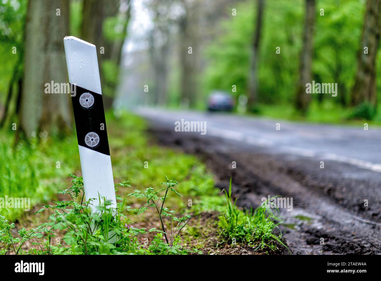 Strada di campagna in Germania con una curva stretta Foto Stock
