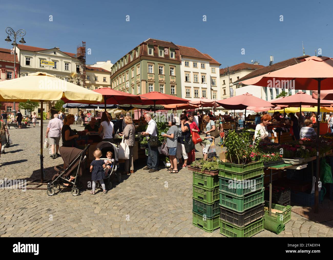 Brno, Repubblica Ceca - 1 giugno 2017: Piazza del mercato dei cavoli a Brno, Repubblica Ceca. Foto Stock